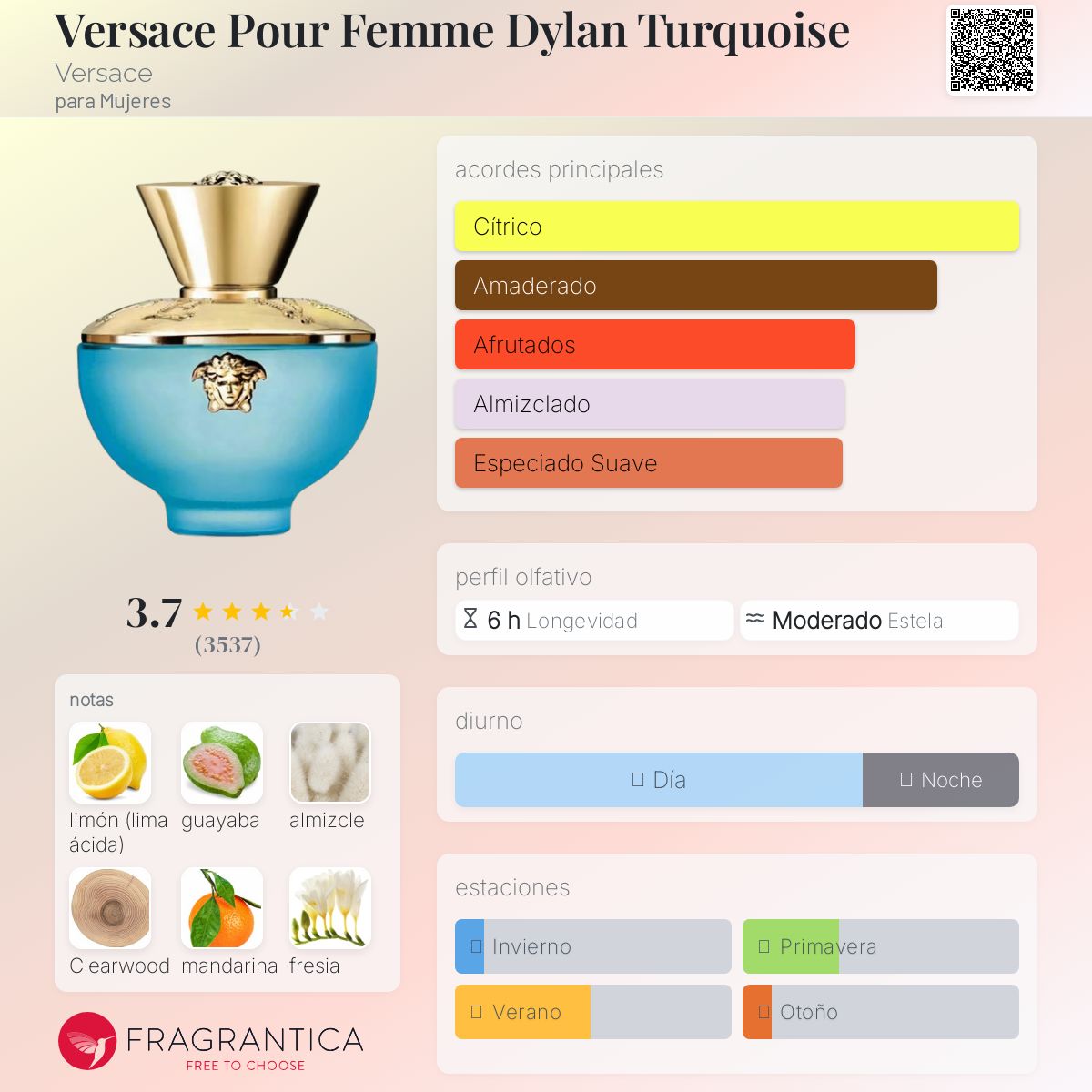 Versace Dylan Turquoise